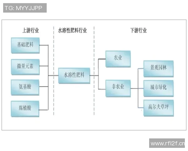 深圳极限运动队转型之路探秘与未来发展趋势分析
